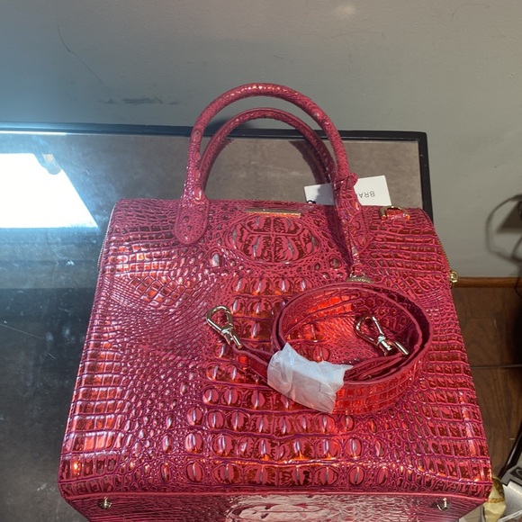 Brahmin - Picture 6 of 15